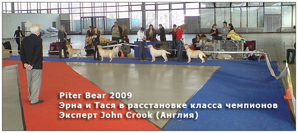 Piter Bear 2009