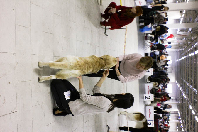 IMG_0195_1