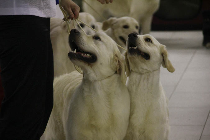 IMG_0636_1