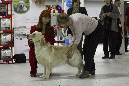IMG_0051_1