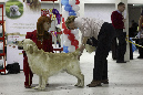 IMG_0052_1