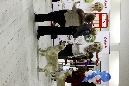 IMG_0057_1