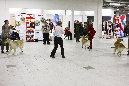 IMG_0159_1