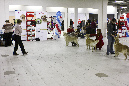IMG_0160_1