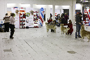 IMG_0161_1