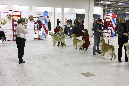 IMG_0162_1
