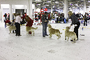 IMG_0165_1