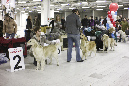 IMG_0171_1