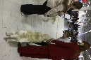 IMG_0203_1