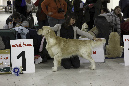 IMG_0208_1