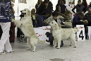 IMG_0210_1