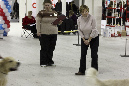 IMG_0213_1