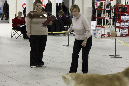 IMG_0215_1