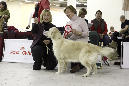 IMG_0419_1