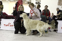 IMG_0420_1