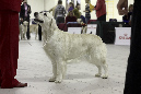 IMG_0438_1