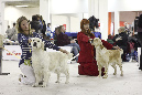 IMG_0557_1