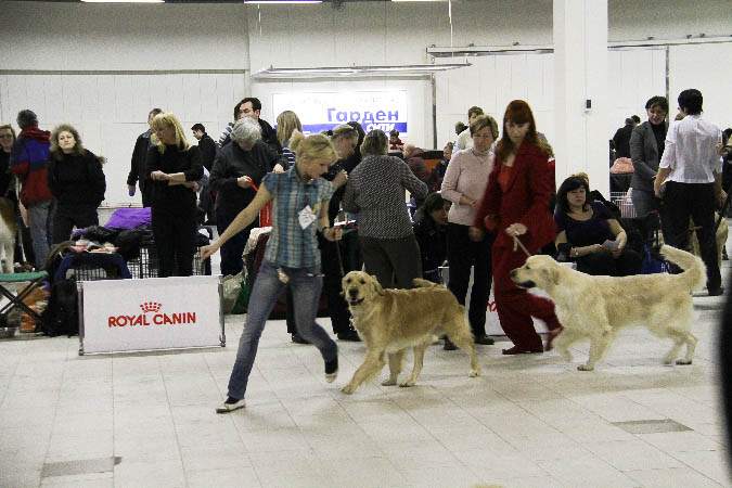 IMG_0027