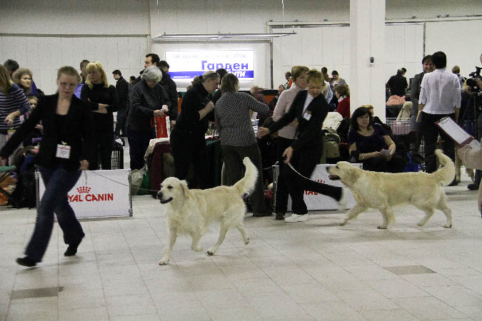 IMG_0035