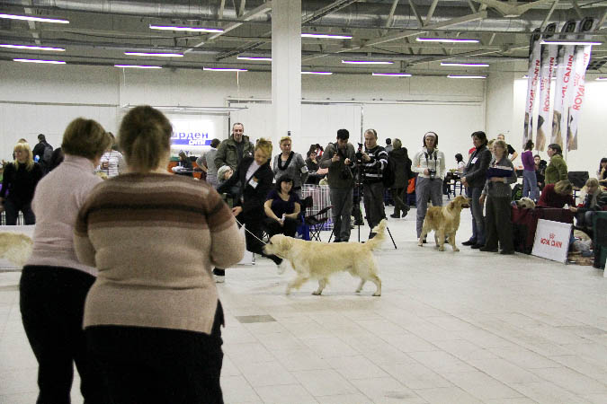 IMG_0102