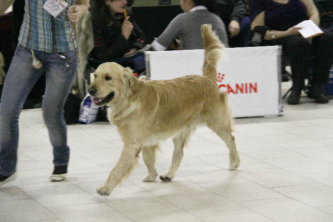 IMG_0142