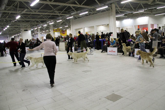 IMG_0219