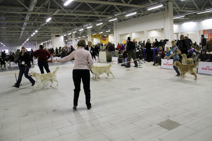 IMG_0223
