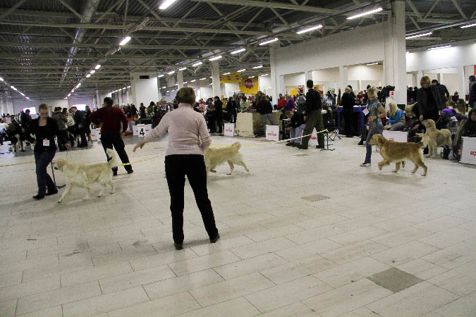 IMG_0225