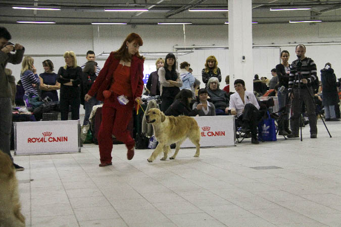 IMG_0352