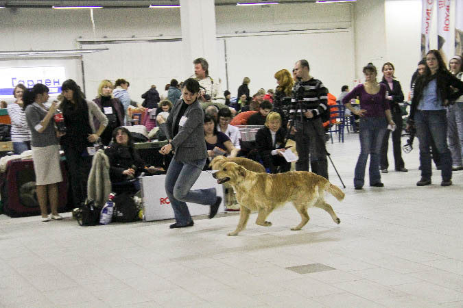 IMG_0384