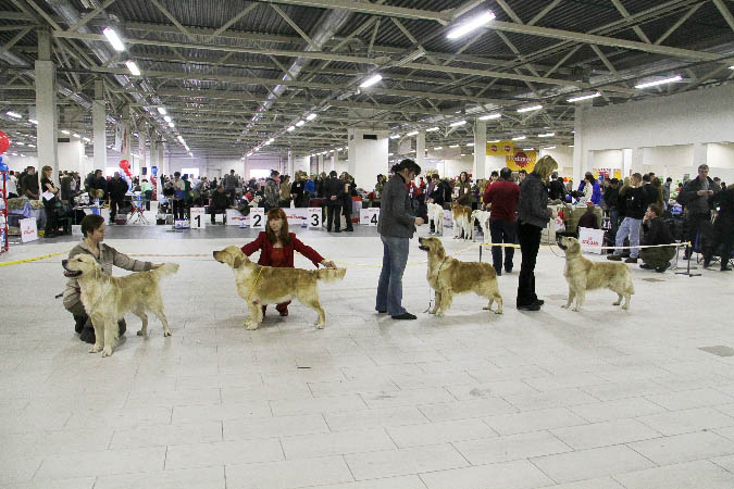 IMG_0448