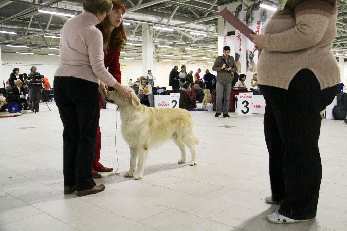 IMG_0580