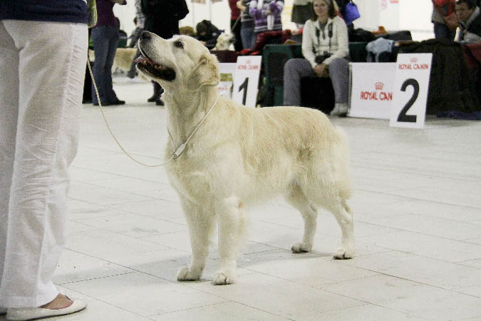 IMG_0662