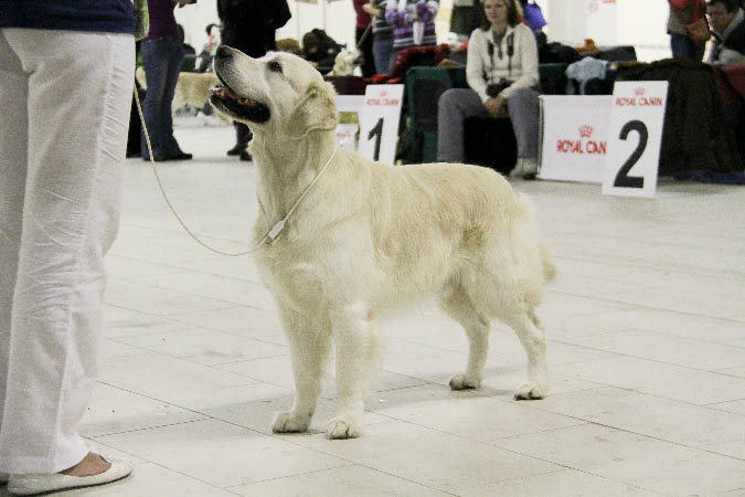 IMG_0663