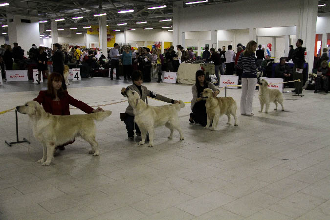 IMG_0670