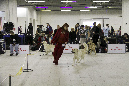 IMG_0183