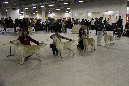 IMG_0667