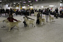 IMG_0670