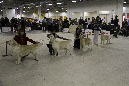 IMG_0671