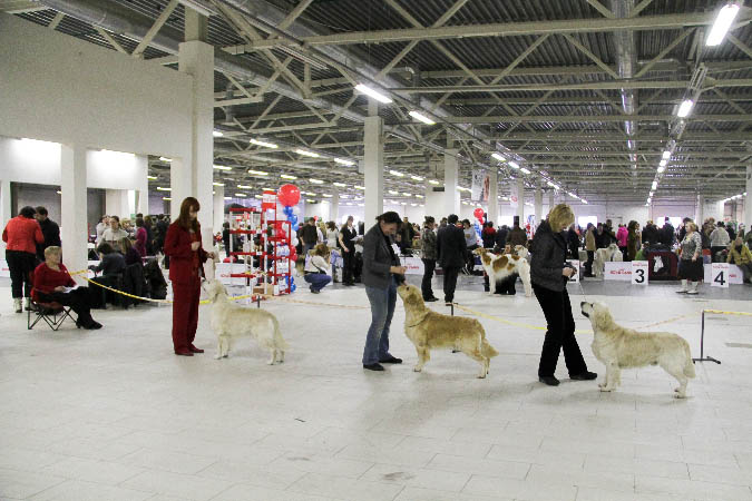 IMG_0732