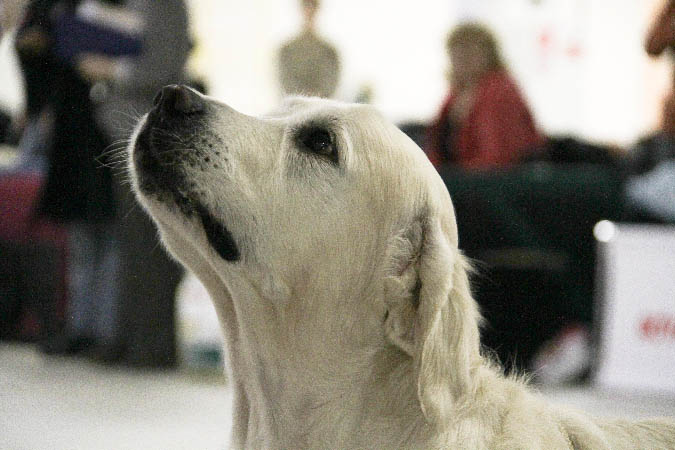 IMG_0797