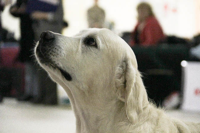 IMG_0803