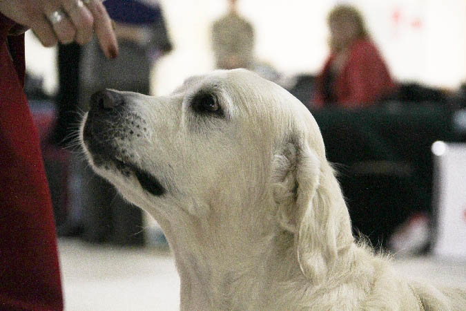 IMG_0809