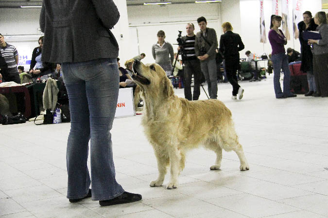 IMG_0813