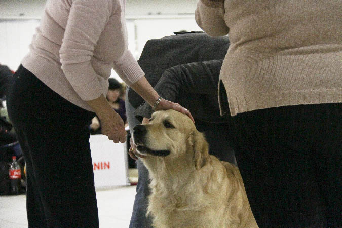 IMG_0820