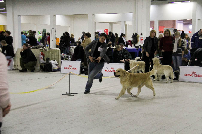 IMG_0858