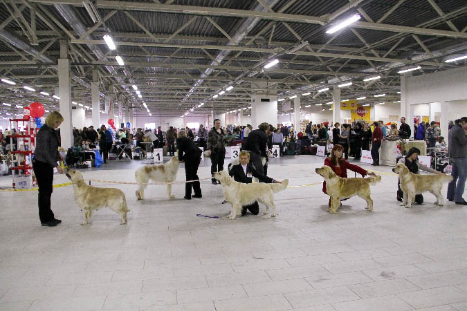 IMG_1224