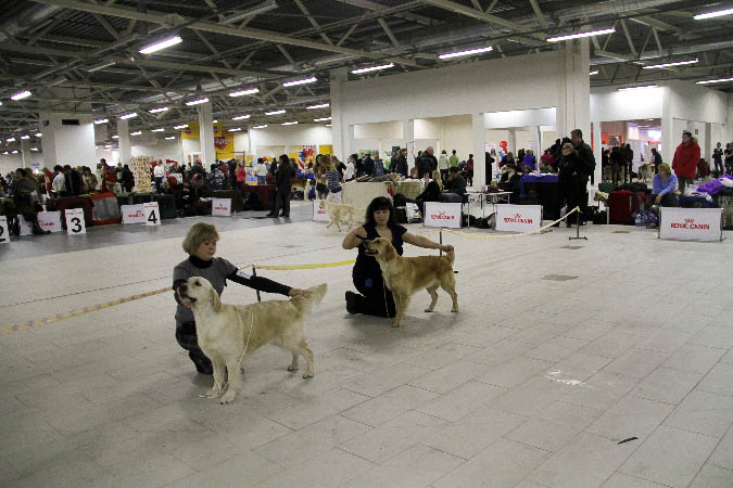 IMG_1268
