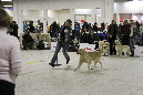 IMG_0860
