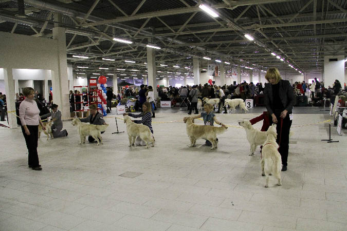 IMG_1315